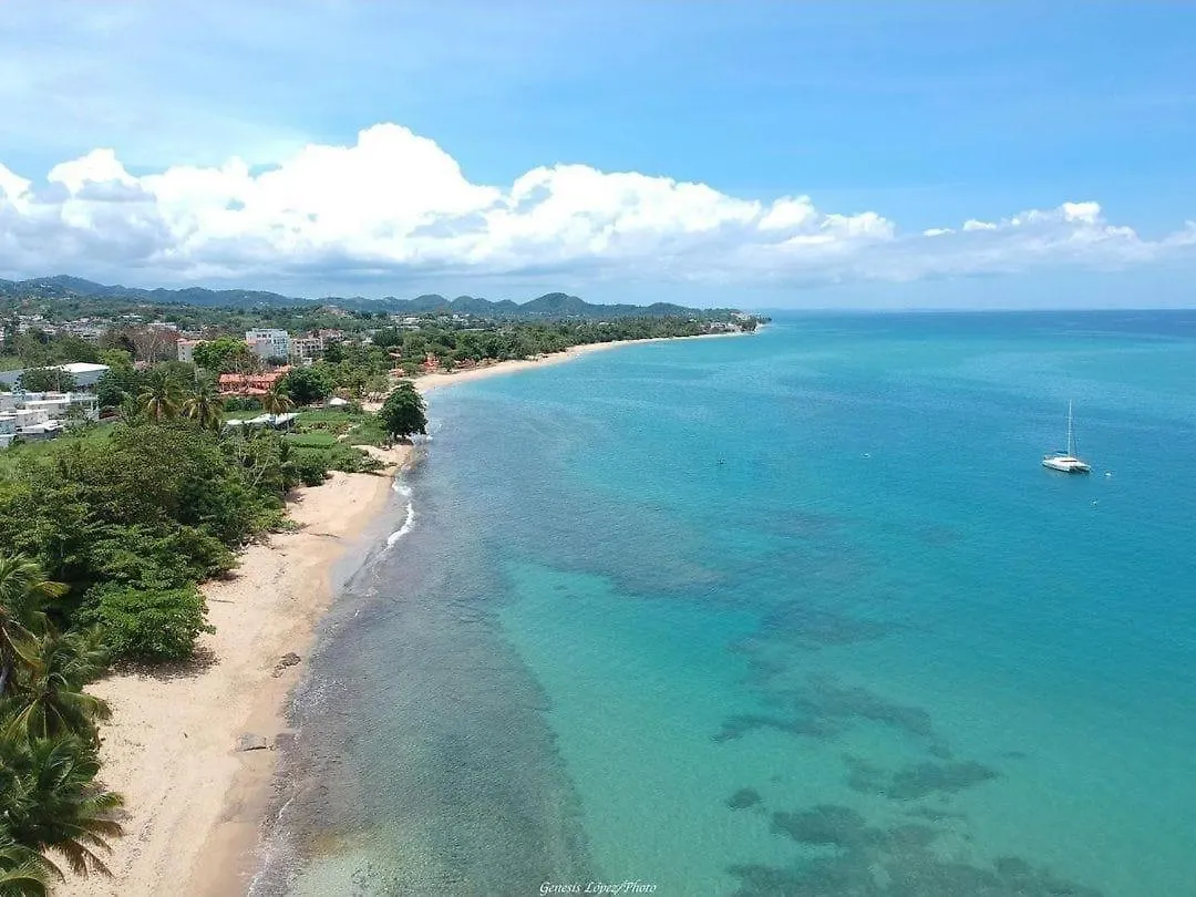 Beachfront 5Th Floor At Pelican Reef Rincon Διαμέρισμα